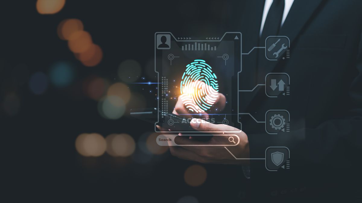 Identity and access management as the new enterprise security perimeter